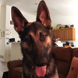 Meet your Posher, Andrew